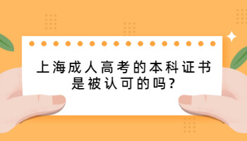 上海成人高考的本科证书是被认可的吗?