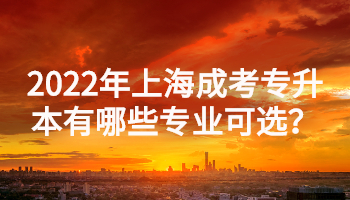 2022年上海成考专升本有哪些专业可选？